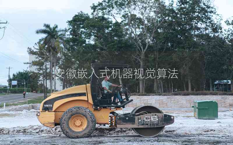 安徽嵌入式機器視覺算法