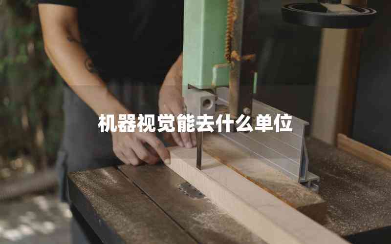 機(jī)器視覺(jué)能去什么單位